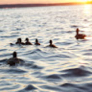 Meet your Posher, Marie